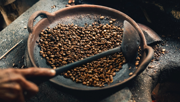 Café en grains d'origine, grand cru dans un saladier