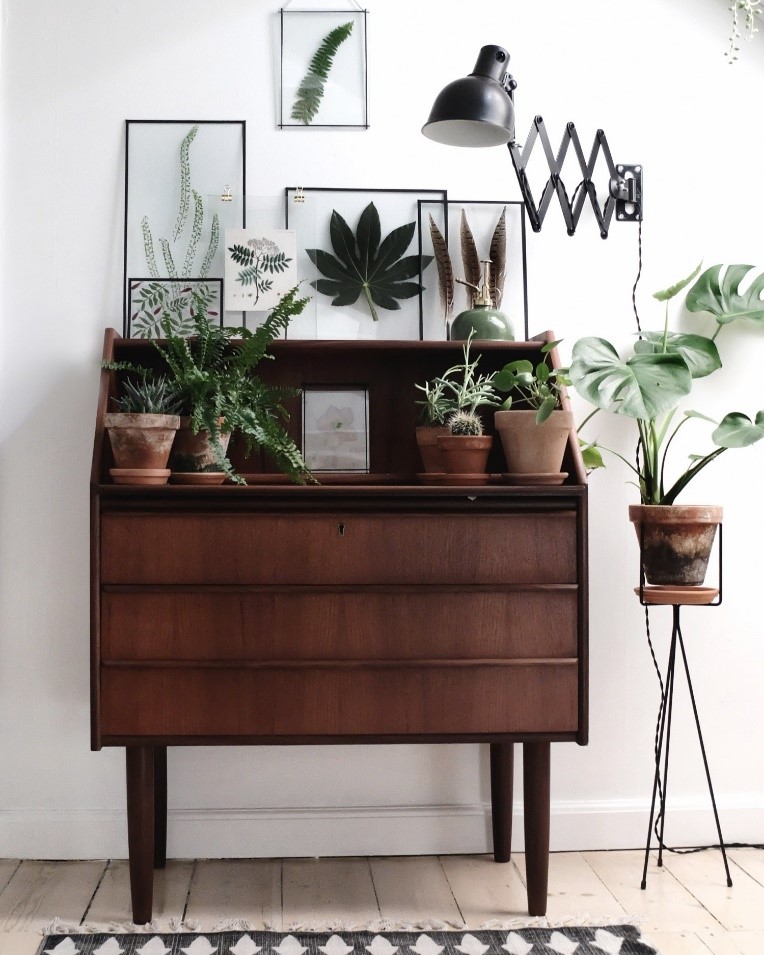 tuto-cadre-photo-plante-idee-deco