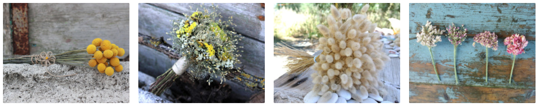 quelles-fleurs-sechees-choisir