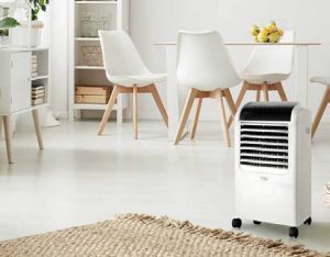 Une alternative plus écologique et économique pour votre intérieur -