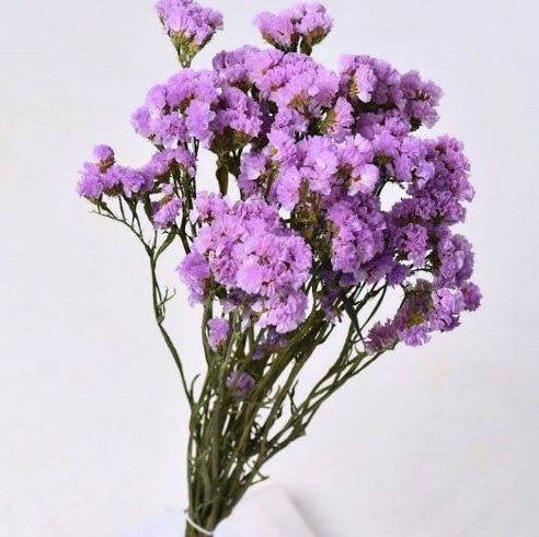 statices-idees-fleurs-sechees