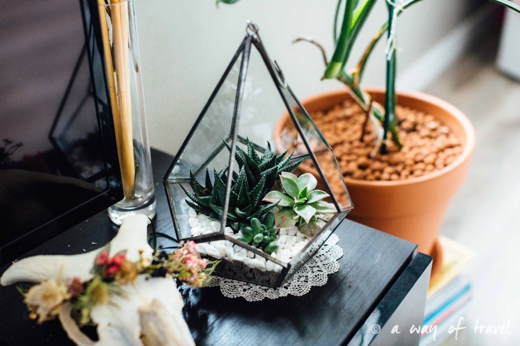 terrarium-idee-mini-jardin-deco