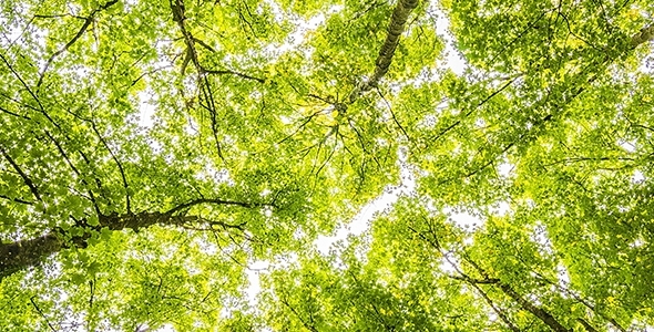 Tout savoir sur la nouvelle étiquette énergie Tout savoir sur la nouvelle étiquette énergie