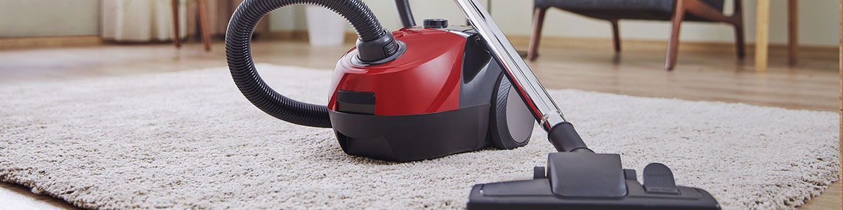 Aspirateur traineau avec sac