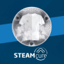  Lave-linge SteamCure