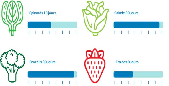 frigo qui conserve plus longtemps legumes et fruits