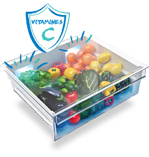 frigo special conservation legumes