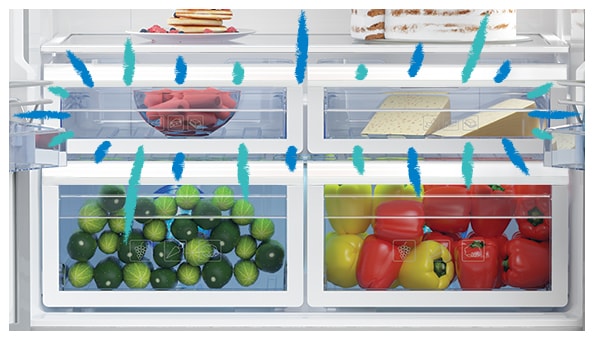 frigo special longue conservation