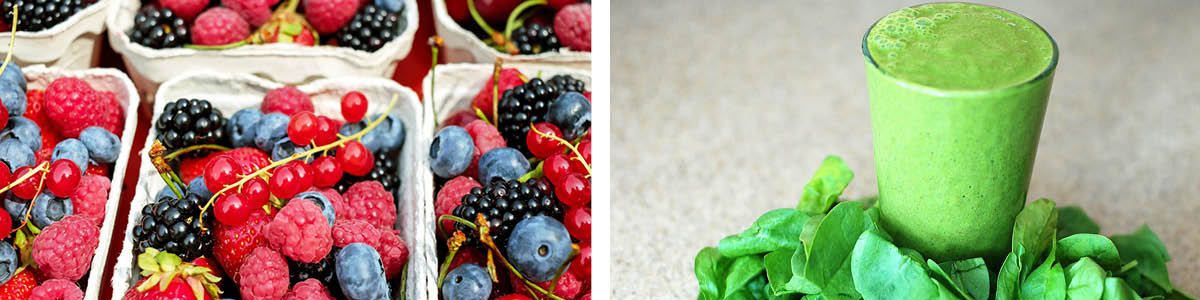 Blender sous vide ProVitality by Beko